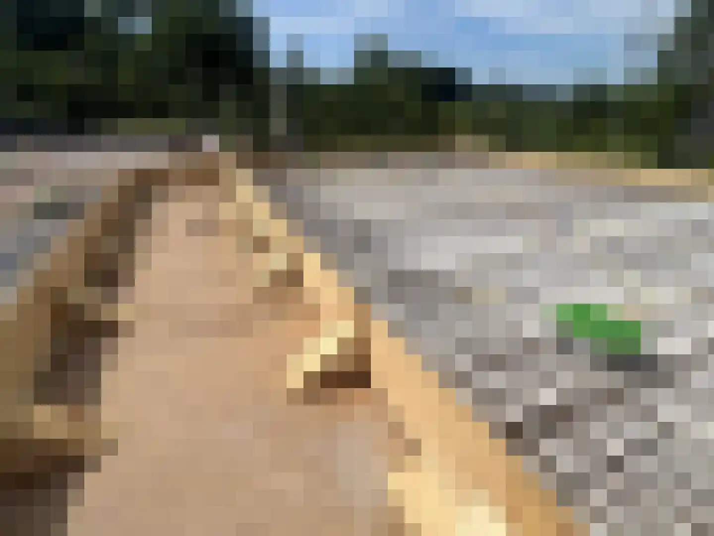 12e Septemberlaan 4 Noorbeek thumbnail 14
