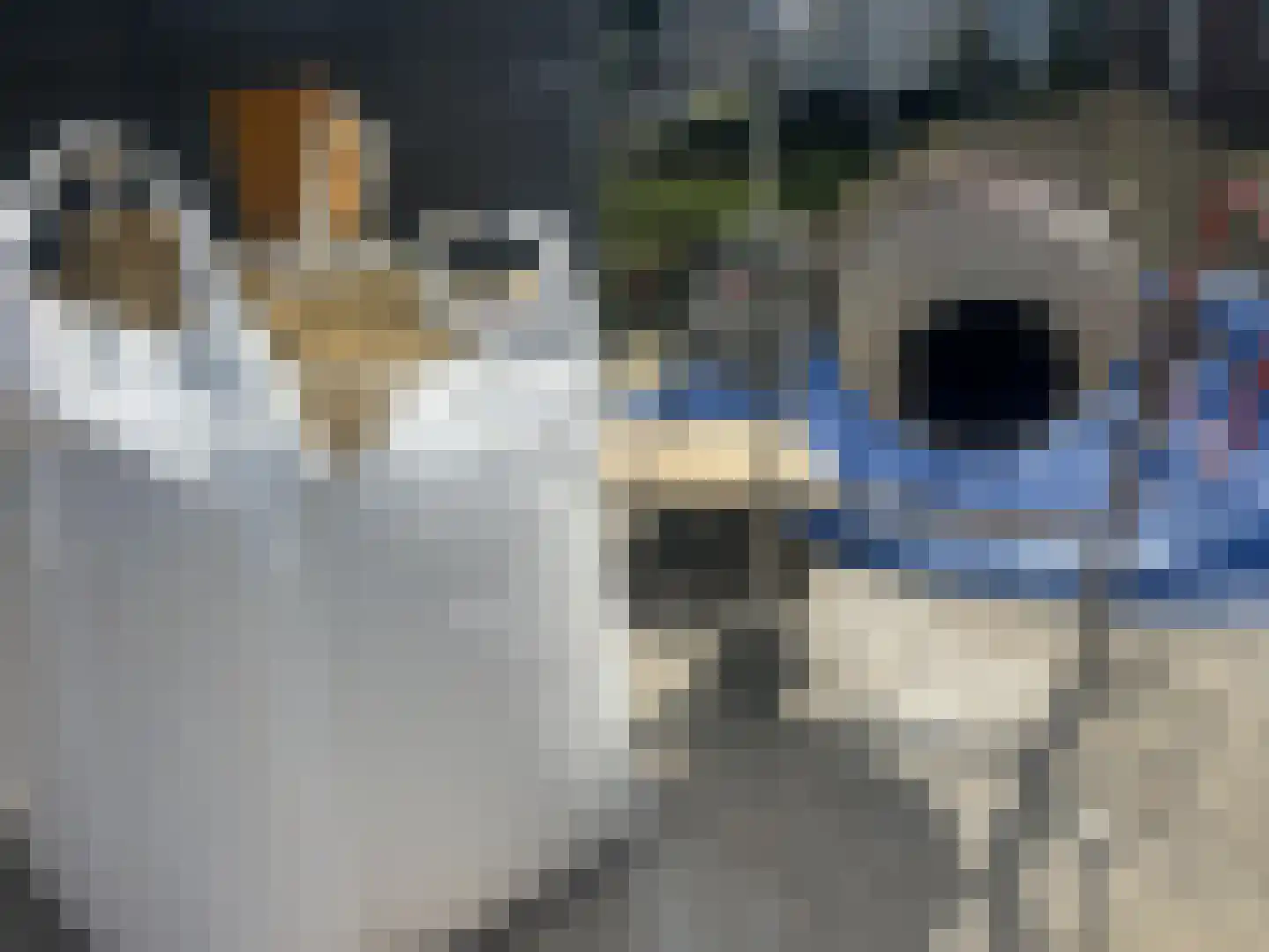 12e Septemberlaan 4 Noorbeek thumbnail 6