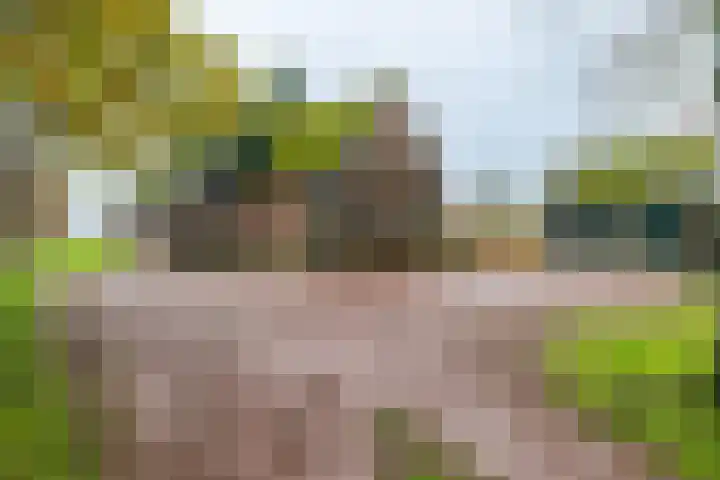 14e Wyk 2 Hoornsterzwaag thumbnail 11
