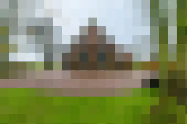 14e Wyk 2 Hoornsterzwaag thumbnail 12