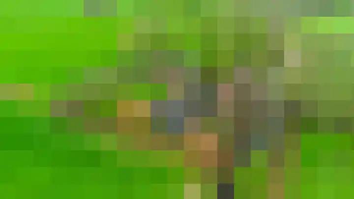 14e Wyk 2 Hoornsterzwaag thumbnail 13