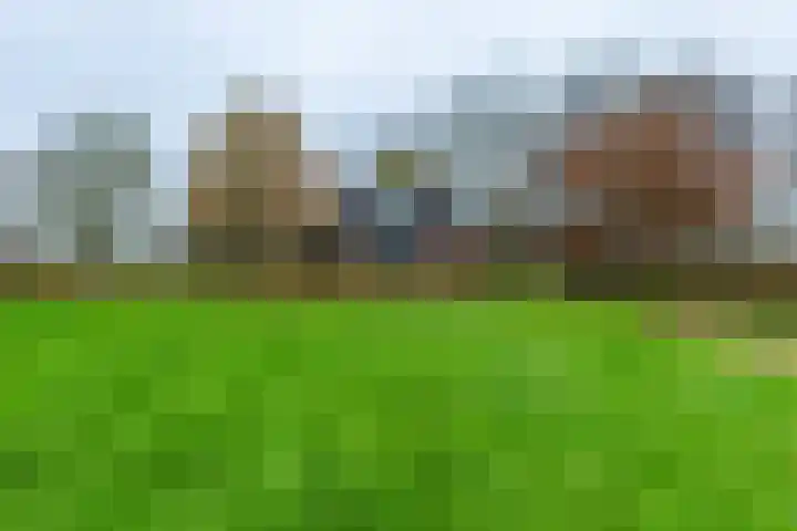 14e Wyk 2 Hoornsterzwaag thumbnail 14