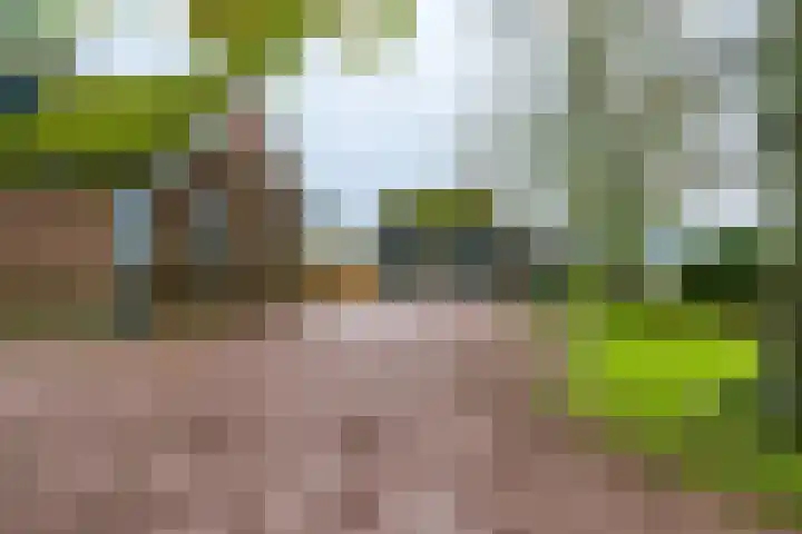 14e Wyk 2 Hoornsterzwaag thumbnail 15