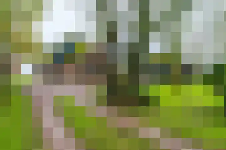 14e Wyk 2 Hoornsterzwaag thumbnail 16