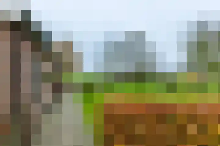 14e Wyk 2 Hoornsterzwaag thumbnail 18