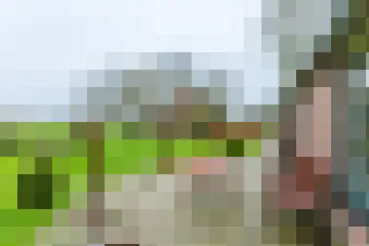 14e Wyk 2 Hoornsterzwaag thumbnail 19