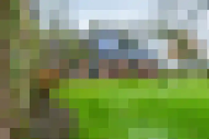 14e Wyk 2 Hoornsterzwaag foto 2