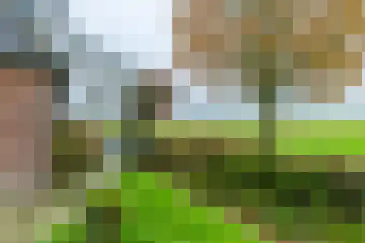 14e Wyk 2 Hoornsterzwaag thumbnail 20