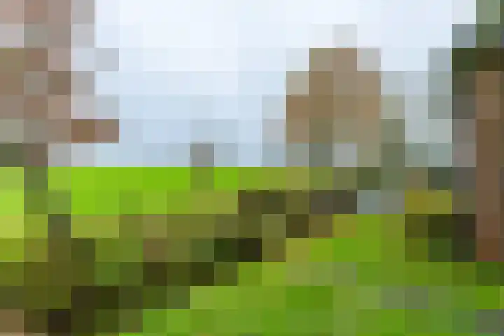 14e Wyk 2 Hoornsterzwaag thumbnail 21