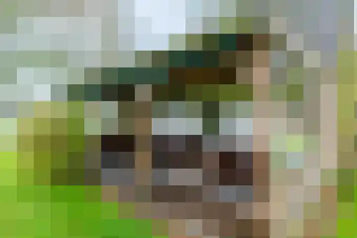 14e Wyk 2 Hoornsterzwaag thumbnail 22