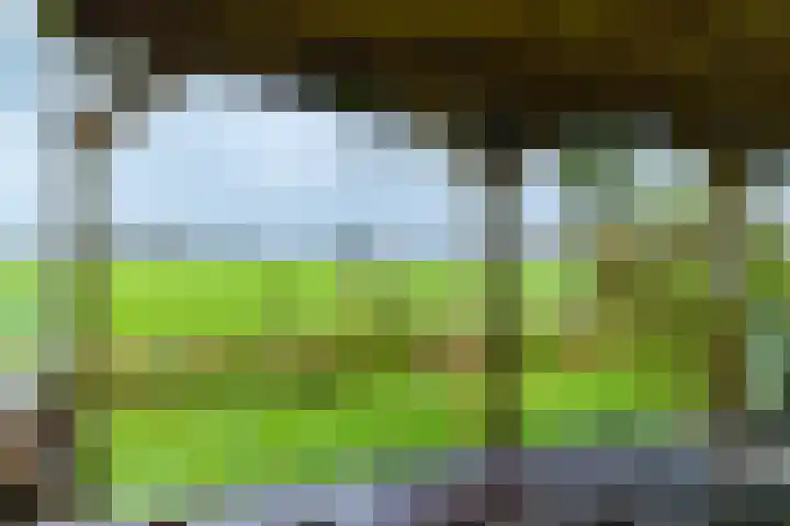 14e Wyk 2 Hoornsterzwaag thumbnail 23