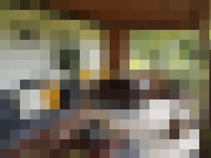 14e Wyk 2 Hoornsterzwaag thumbnail 24