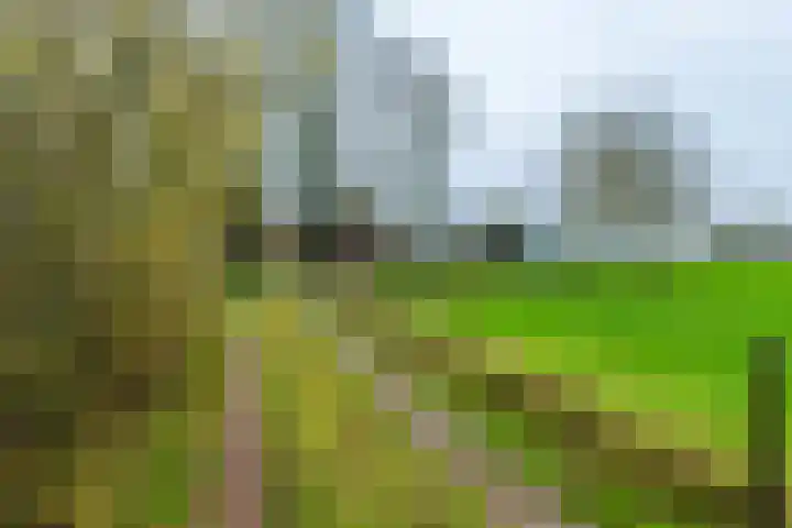 14e Wyk 2 Hoornsterzwaag thumbnail 25