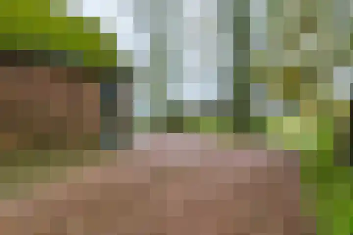 14e Wyk 2 Hoornsterzwaag thumbnail 26