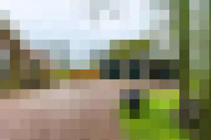14e Wyk 2 Hoornsterzwaag thumbnail 27