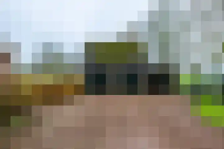 14e Wyk 2 Hoornsterzwaag thumbnail 28