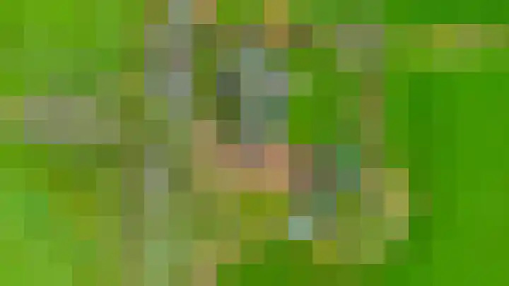 14e Wyk 2 Hoornsterzwaag thumbnail 29