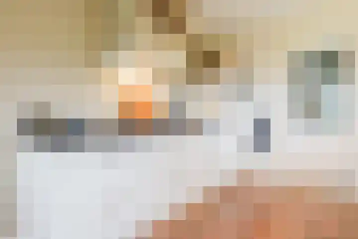 14e Wyk 2 Hoornsterzwaag thumbnail 34