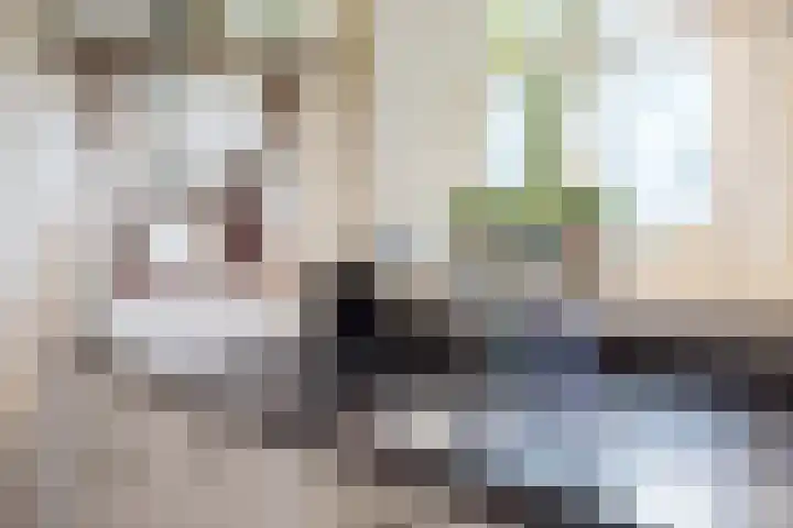 14e Wyk 2 Hoornsterzwaag thumbnail 35