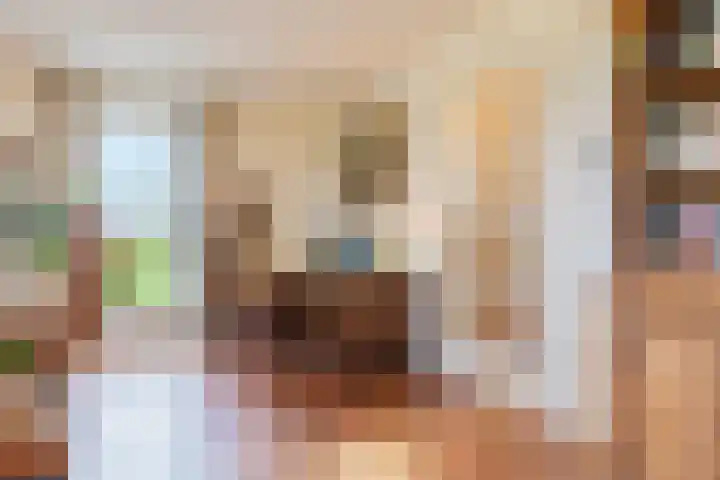 14e Wyk 2 Hoornsterzwaag thumbnail 40