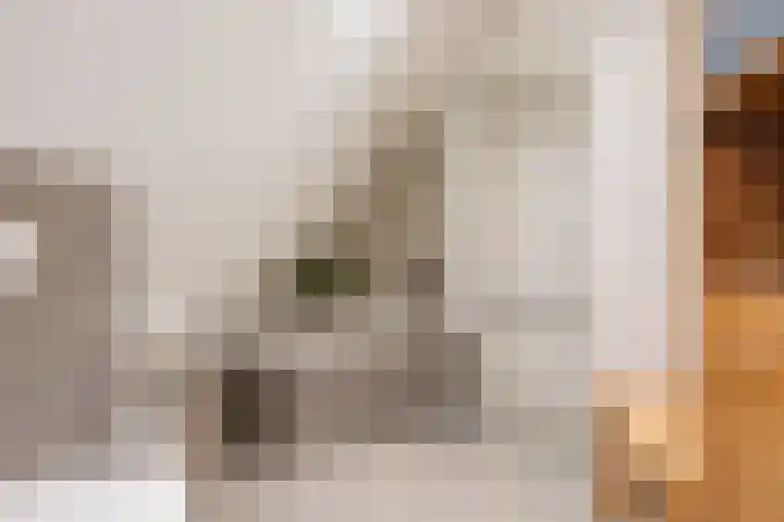 14e Wyk 2 Hoornsterzwaag thumbnail 54