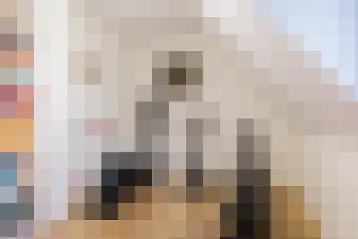 14e Wyk 2 Hoornsterzwaag thumbnail 59