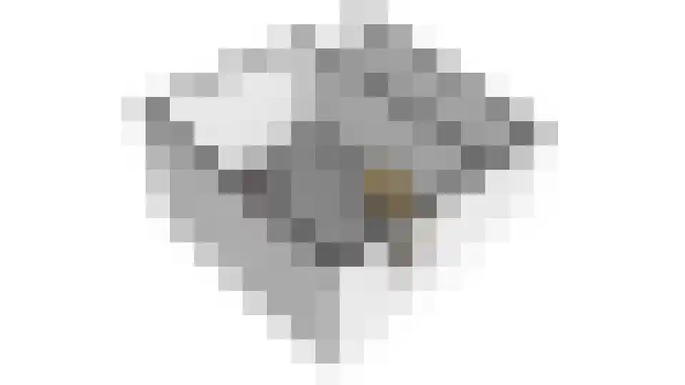 15 augustuspad 15 Almere thumbnail 83