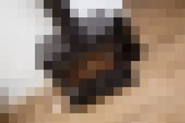 1672-Laan 12 Bodegraven thumbnail 11