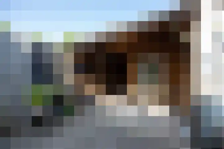 1672-Laan 12 Bodegraven thumbnail 17