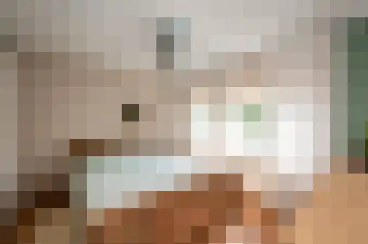 1672-Laan 12 Bodegraven thumbnail 21