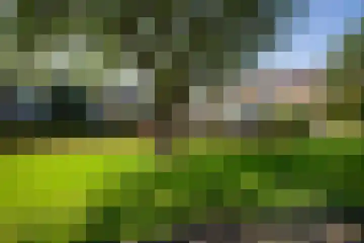 1672-Laan 12 Bodegraven thumbnail 33