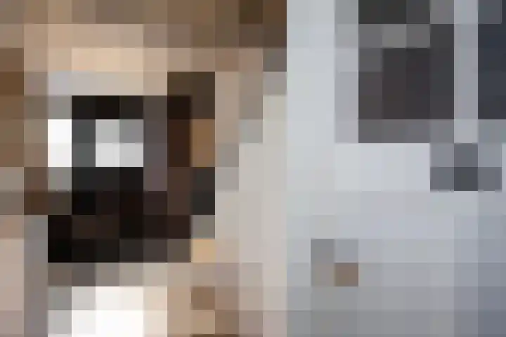 1672-Laan 12 Bodegraven thumbnail 6
