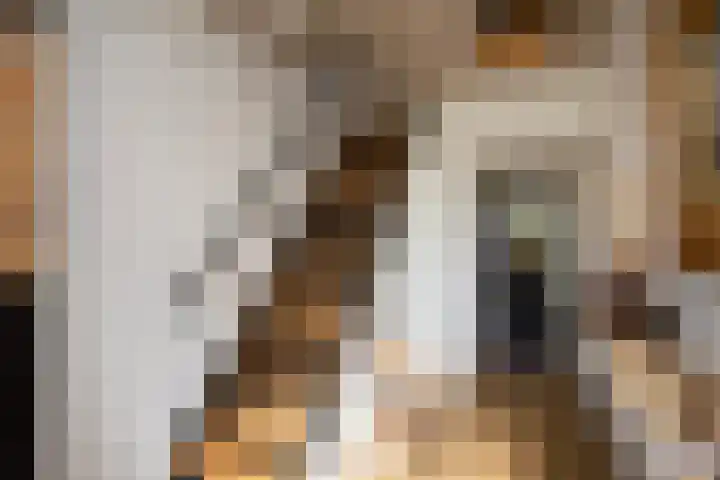 1672-Laan 12 Bodegraven thumbnail 7