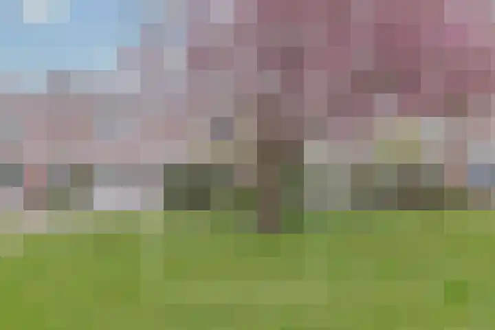 1672-Laan 30 in Bodegraven