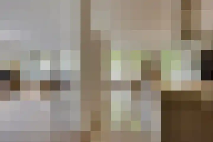17 Septemberplein 23 Son en Breugel thumbnail 11
