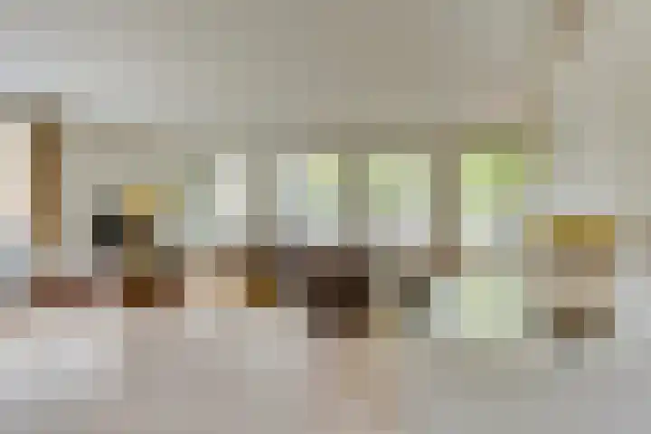 17 Septemberplein 23 Son en Breugel thumbnail 13