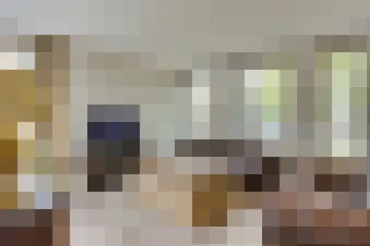 17 Septemberplein 23 Son en Breugel thumbnail 16