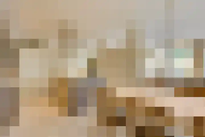 17 Septemberplein 23 Son en Breugel thumbnail 24
