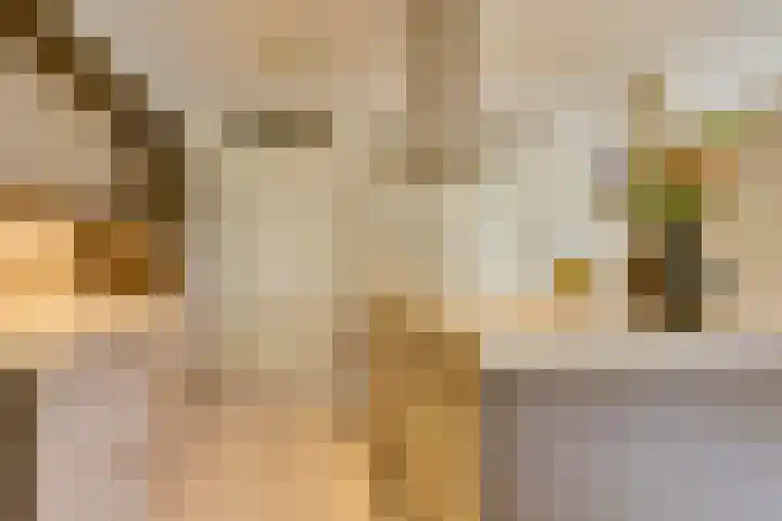 17 Septemberplein 23 Son en Breugel thumbnail 25