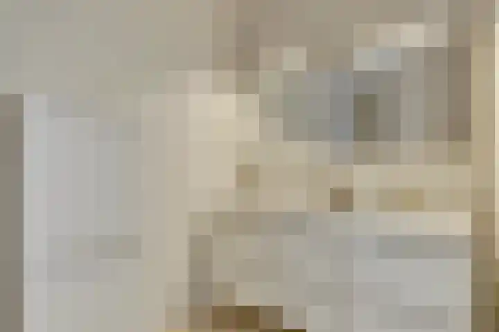 17 Septemberplein 23 Son en Breugel thumbnail 36