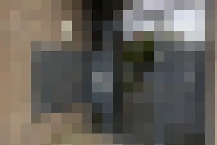 17 Septemberplein 23 Son en Breugel thumbnail 5
