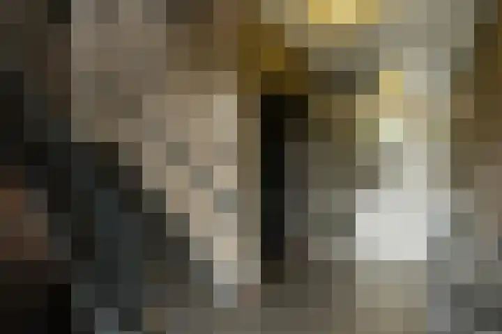 17 Septemberplein 23 Son en Breugel thumbnail 6