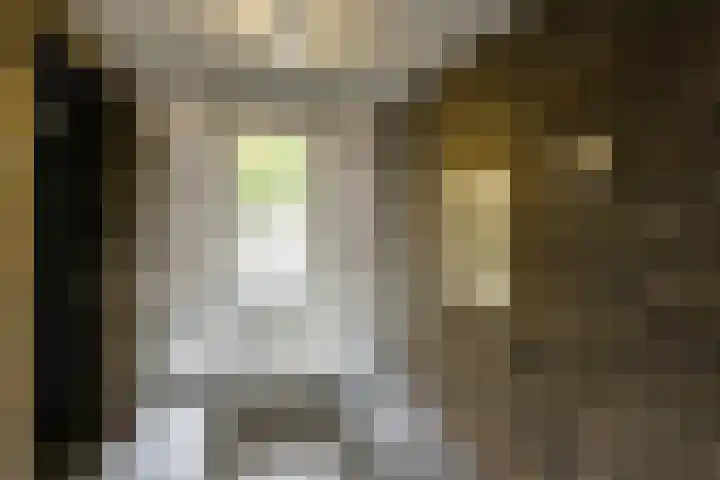 17 Septemberplein 23 Son en Breugel thumbnail 7