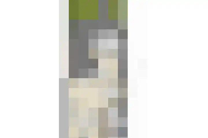 17 Septemberstraat 32 Veldhoven thumbnail 36