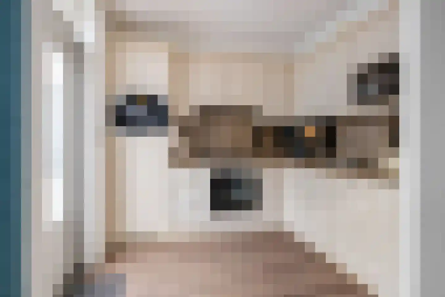 18 novemberring 10 Panningen thumbnail 12