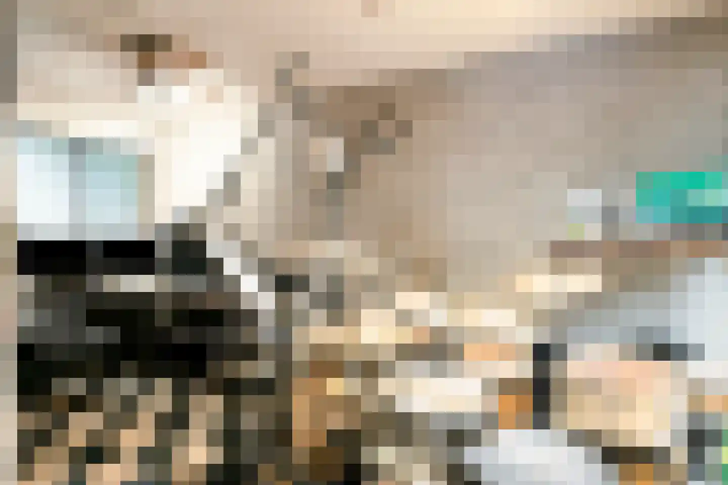 18 novemberring 106 Panningen thumbnail 13