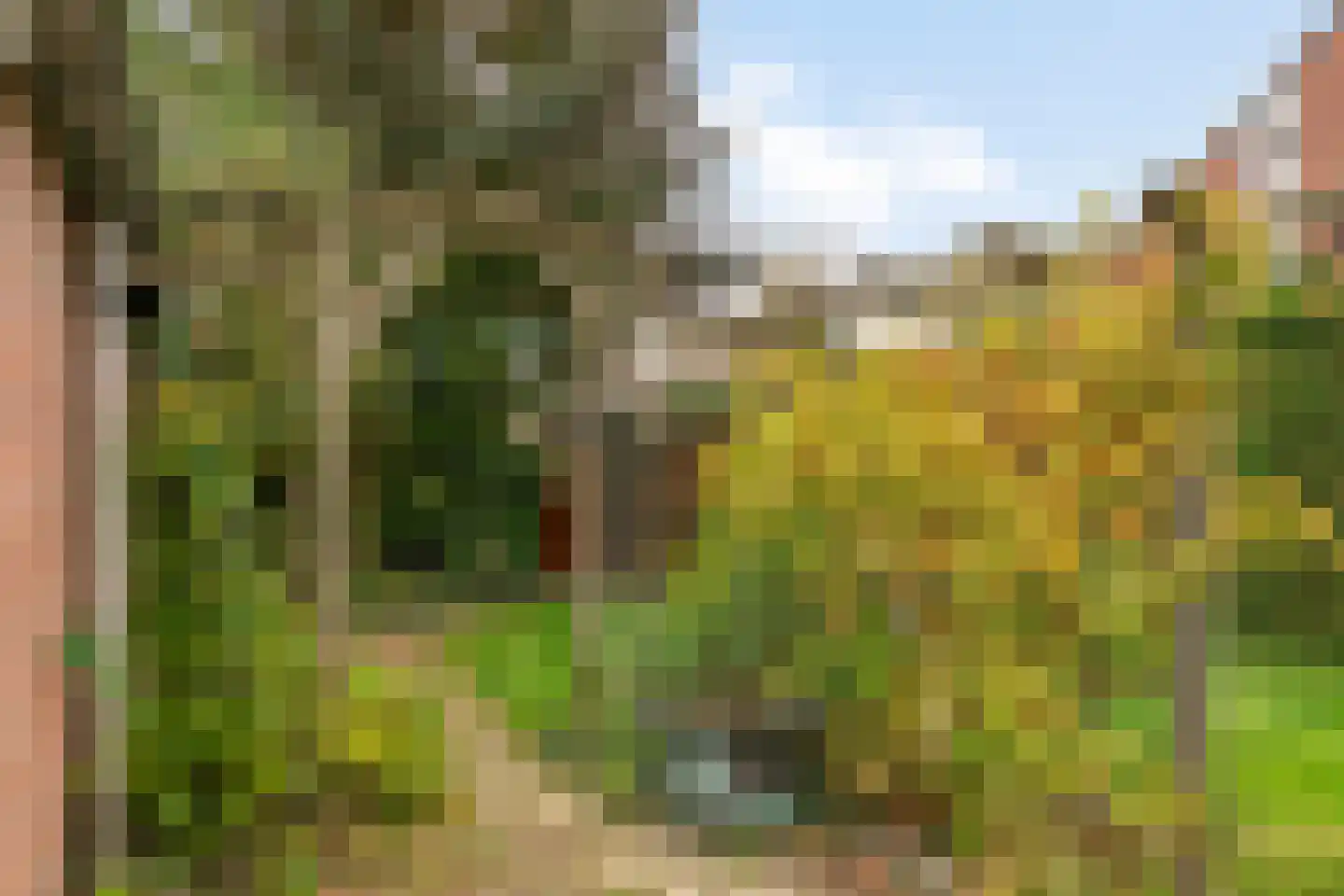 18 novemberring 106 Panningen thumbnail 22