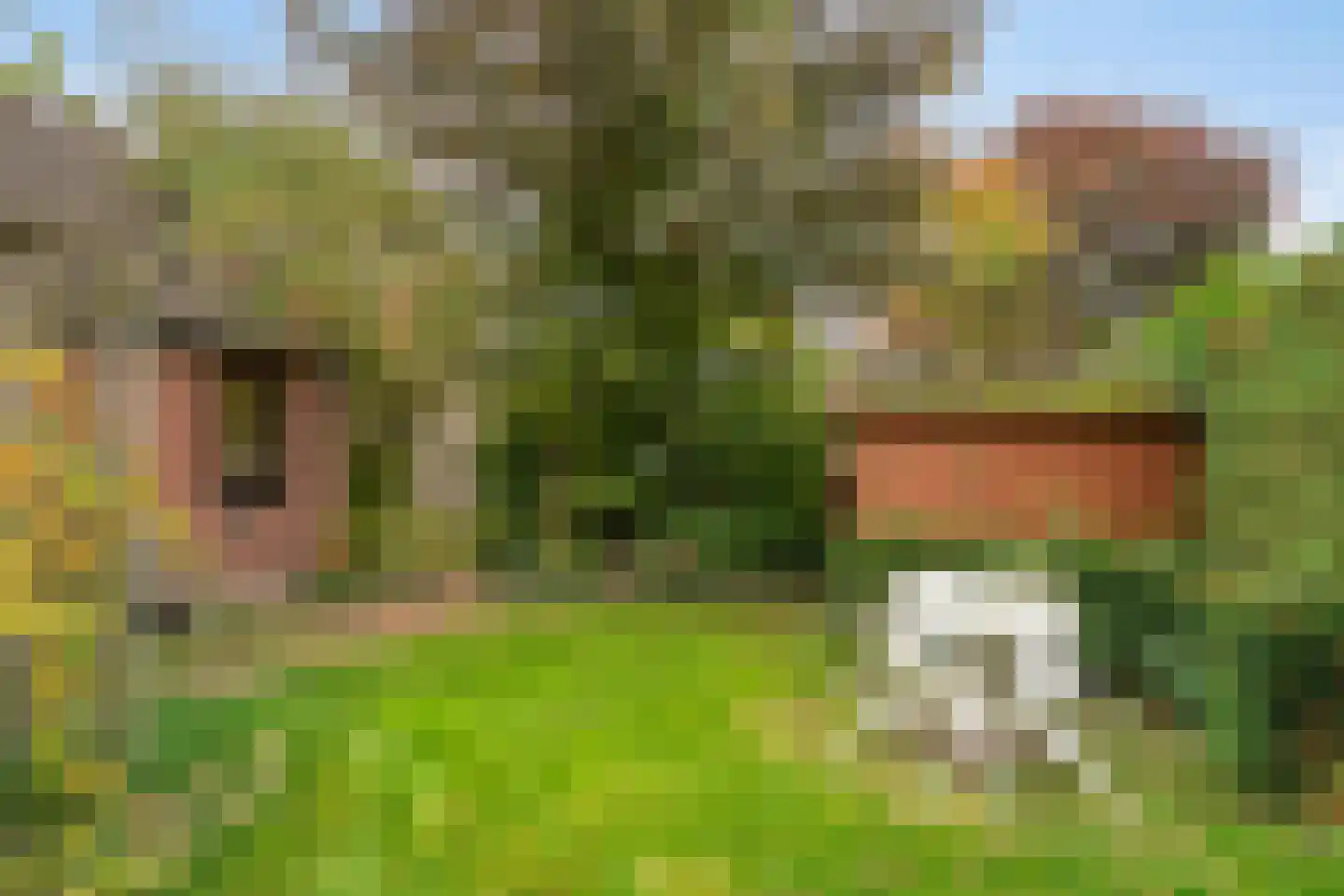 18 novemberring 106 Panningen thumbnail 23