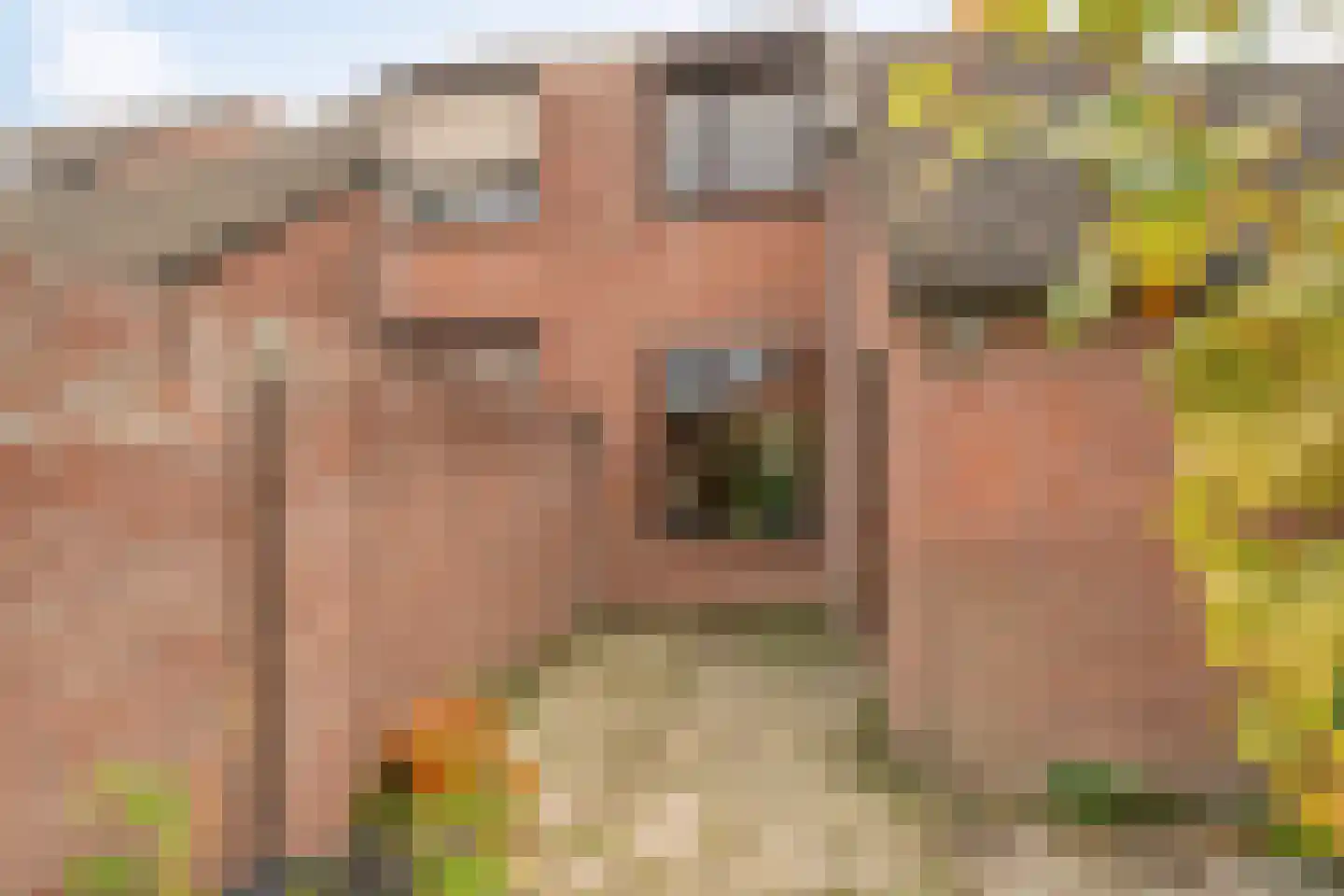 18 novemberring 106 Panningen thumbnail 24