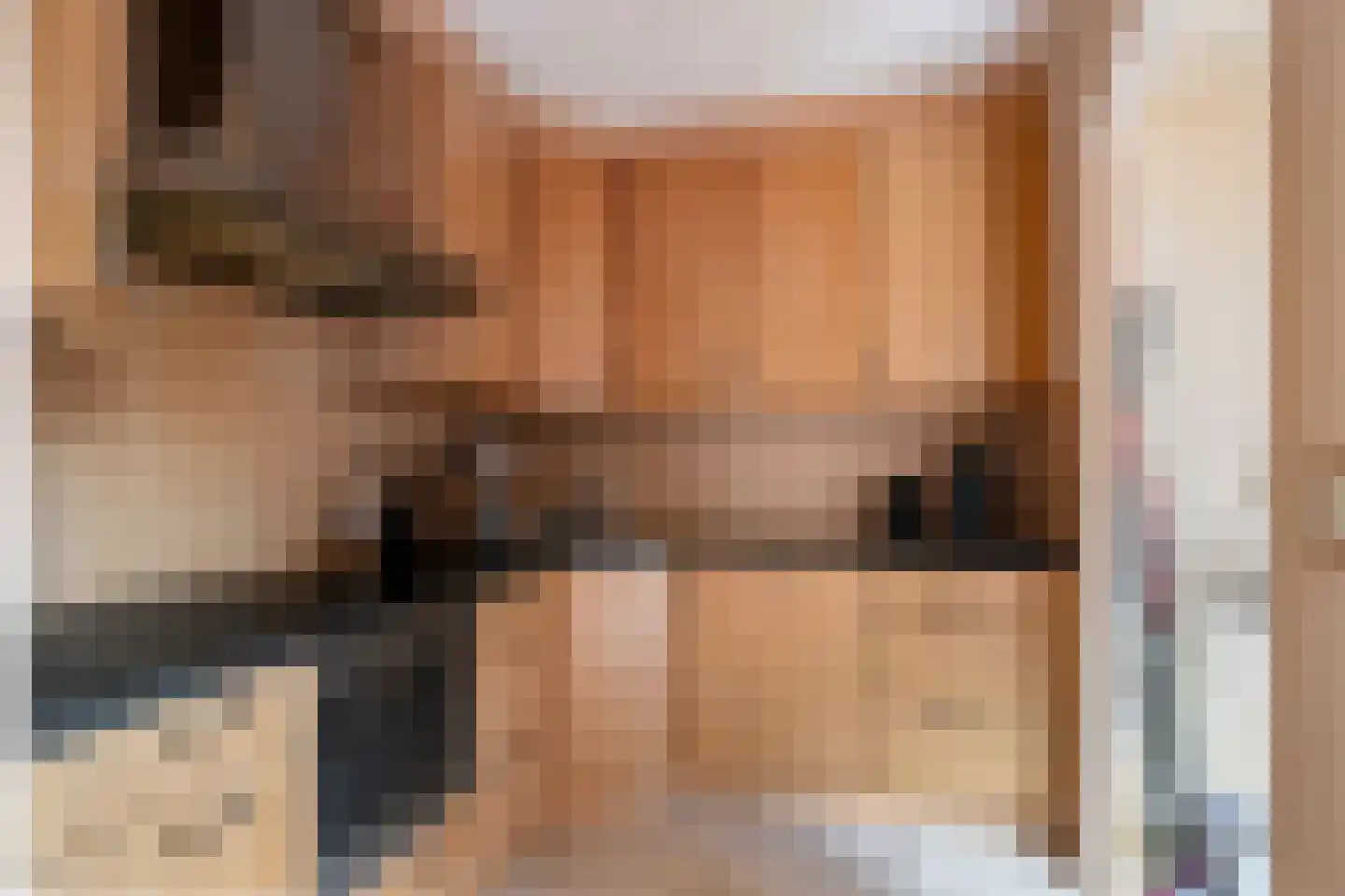 18 novemberring 106 Panningen thumbnail 4